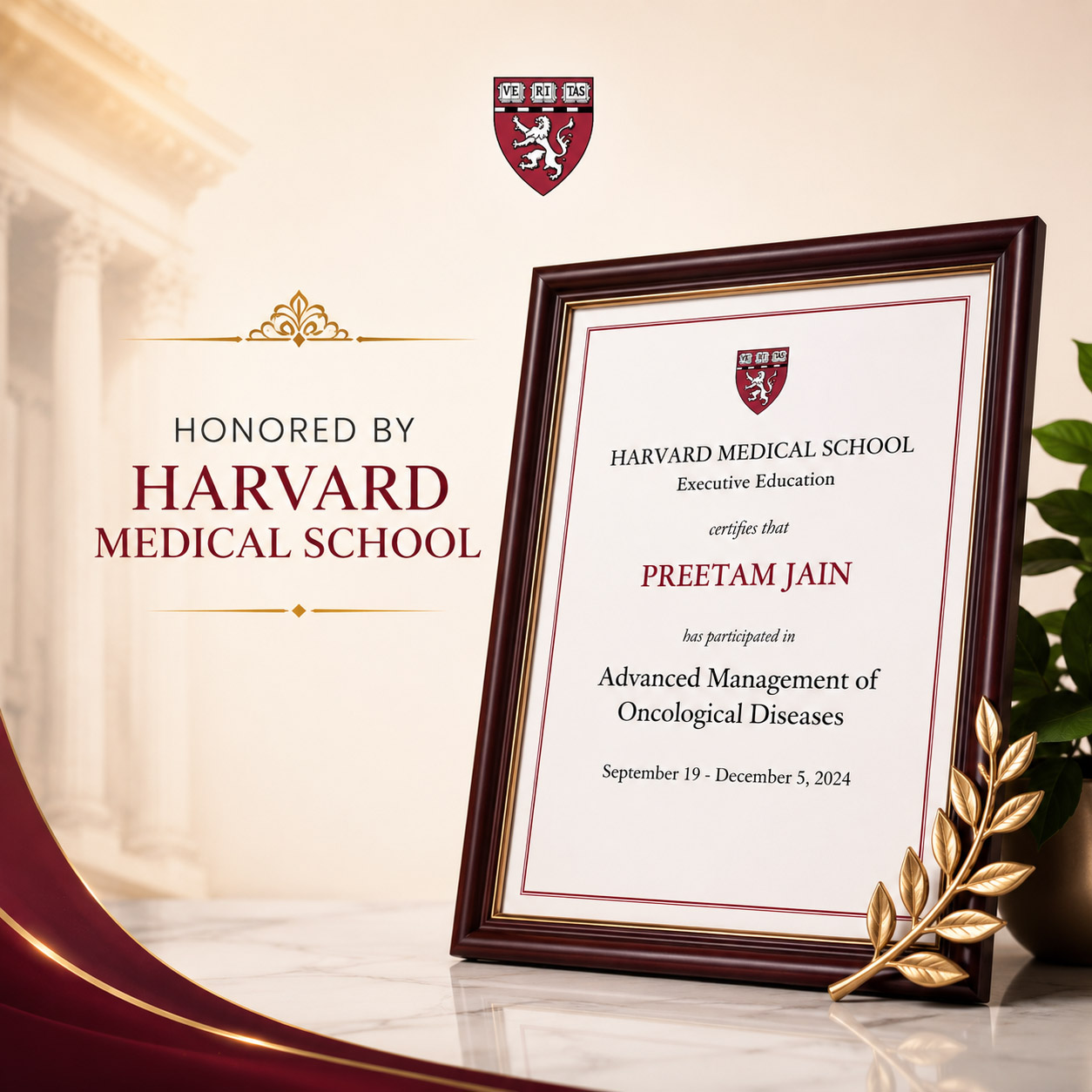Harvard Medical School Executive Education Program 2024